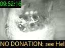 09:52:16