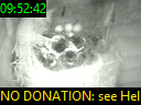 09:52:42