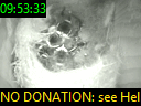09:53:33