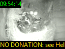09:54:14