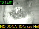 10:13:01