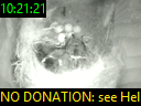 10:21:21