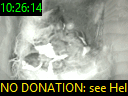 10:26:14