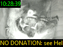 10:28:39