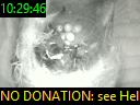 10:29:46