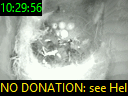 10:29:56