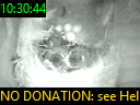 10:30:44