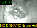 10:31:17