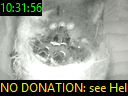 10:31:56