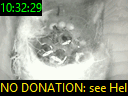 10:32:29