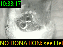 10:33:17