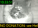 10:33:51