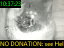 10:37:23
