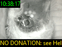 10:38:17