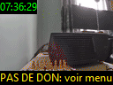 07:36:29