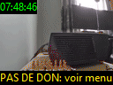 07:48:46