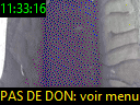 11:33:16