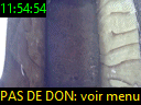 11:54:54