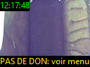 12:17:48