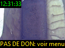 12:31:33