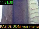 11:31:38