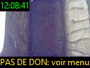 12:08:41