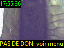 17:55:36