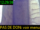 12:29:59