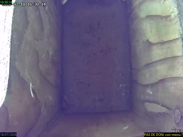 Snapshot Image